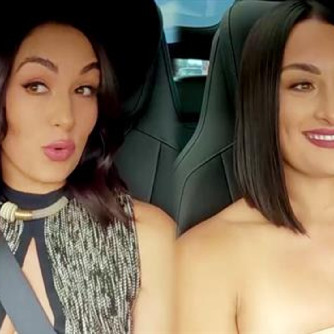 Brie Bella Wants To Throw Nikki A CRAZY Bachelorette Party brie-bella-wants-to-throw-nikki-a-crazy-bachelorette-party